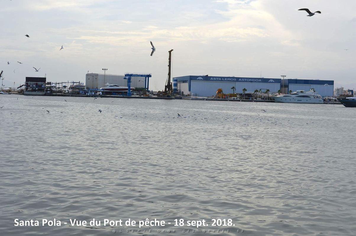 11 SANTA POLA PORT DE PECHE (71).JPG